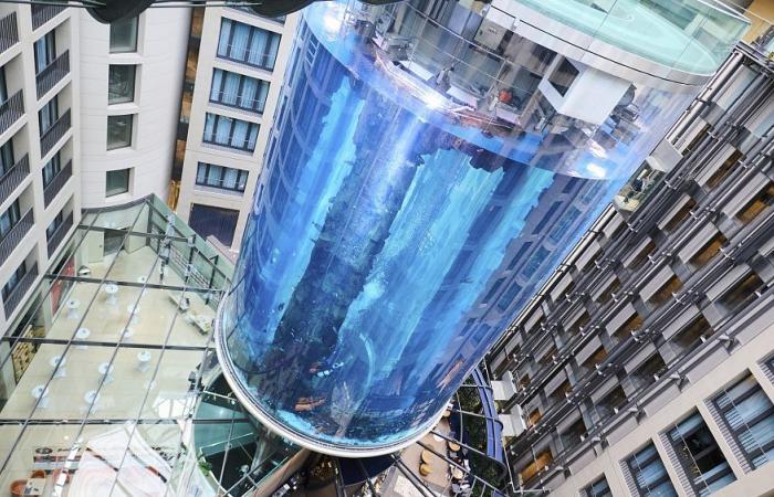 El acuario cilíndrico más grande del mundo se estrella contra un hotel de Berlín
