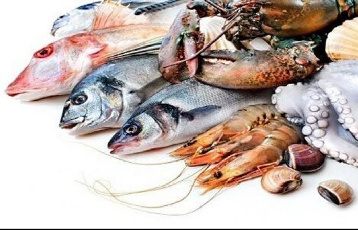 Precios del pescado hoy jueves 29 de diciembre de 2022 en el mercado mayorista y minorista – .